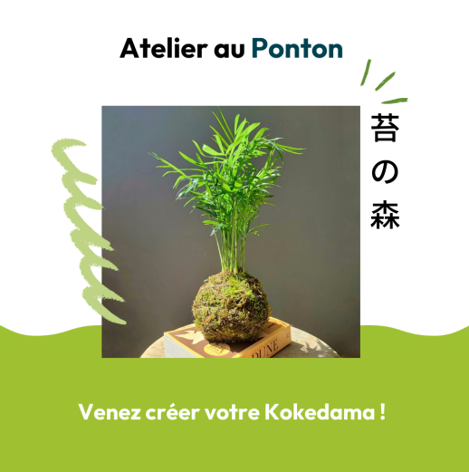 kokedama