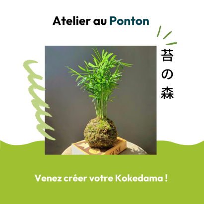 kokedama